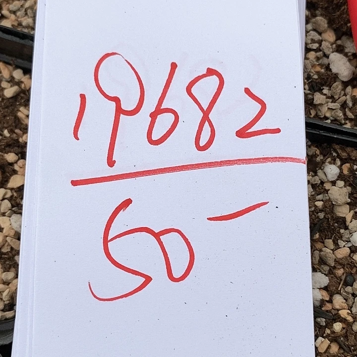 19682一组大灯。