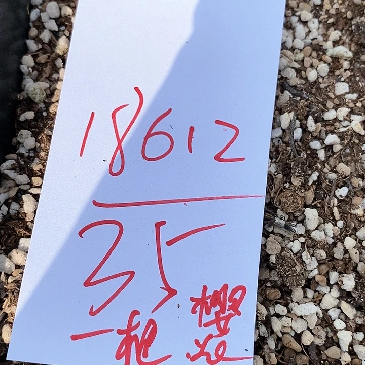 18612一筐风铃。