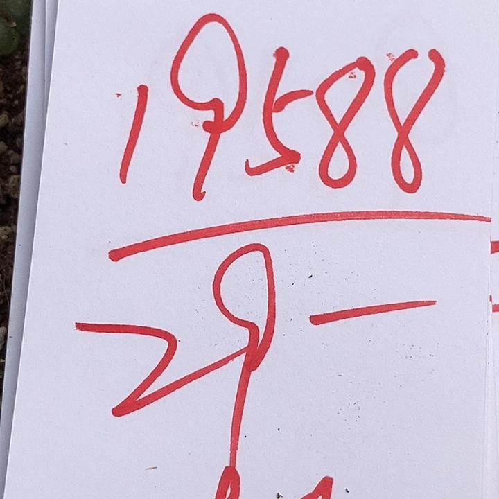 19588一筐风铃。