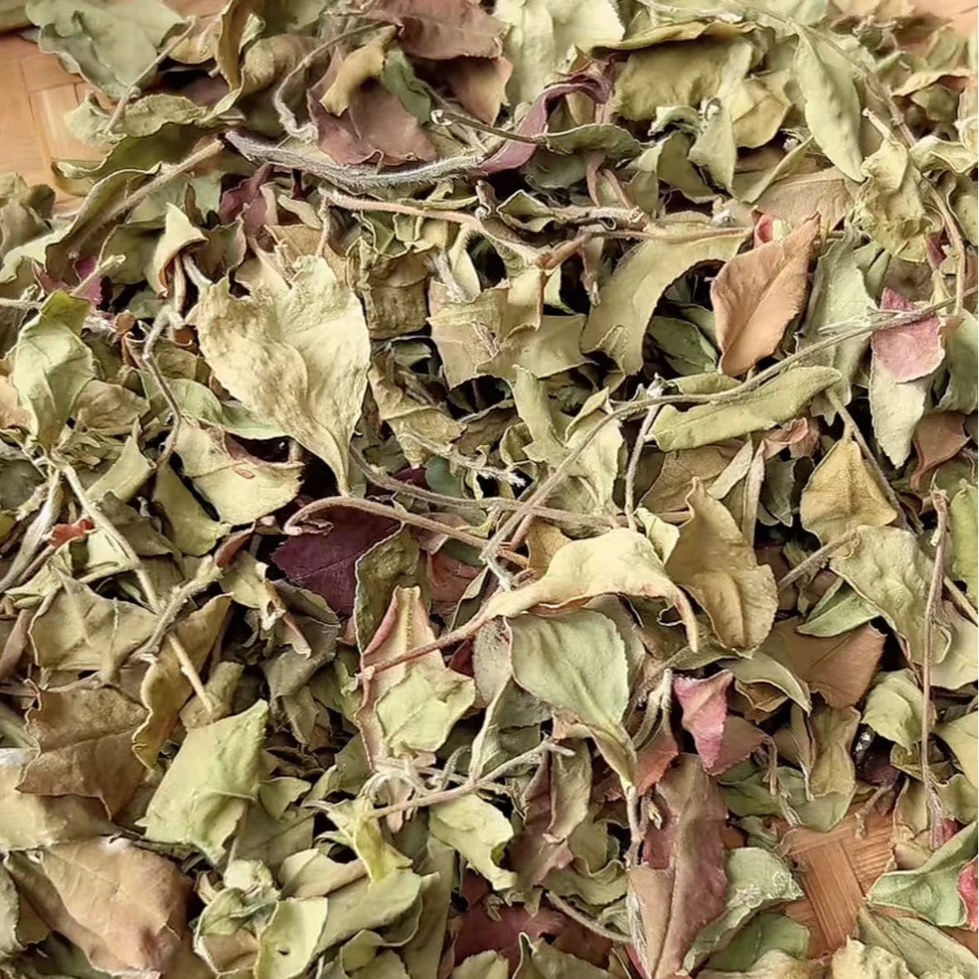 邦木利源【临时链接】【看主播福利发】2024年-紫芽白茶散100g