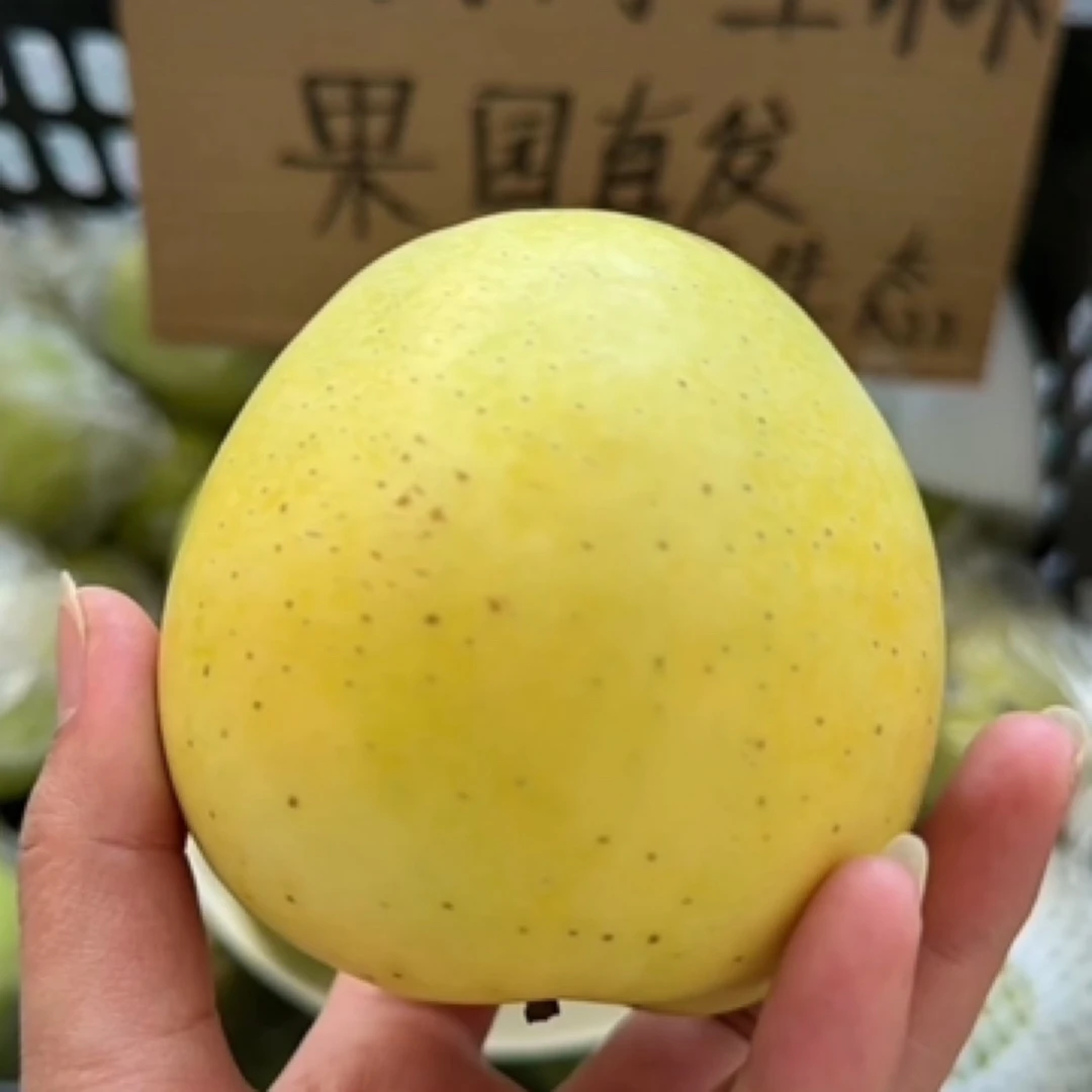 特大果&自家种植王林苹果孕妇水果香甜可口应季水果