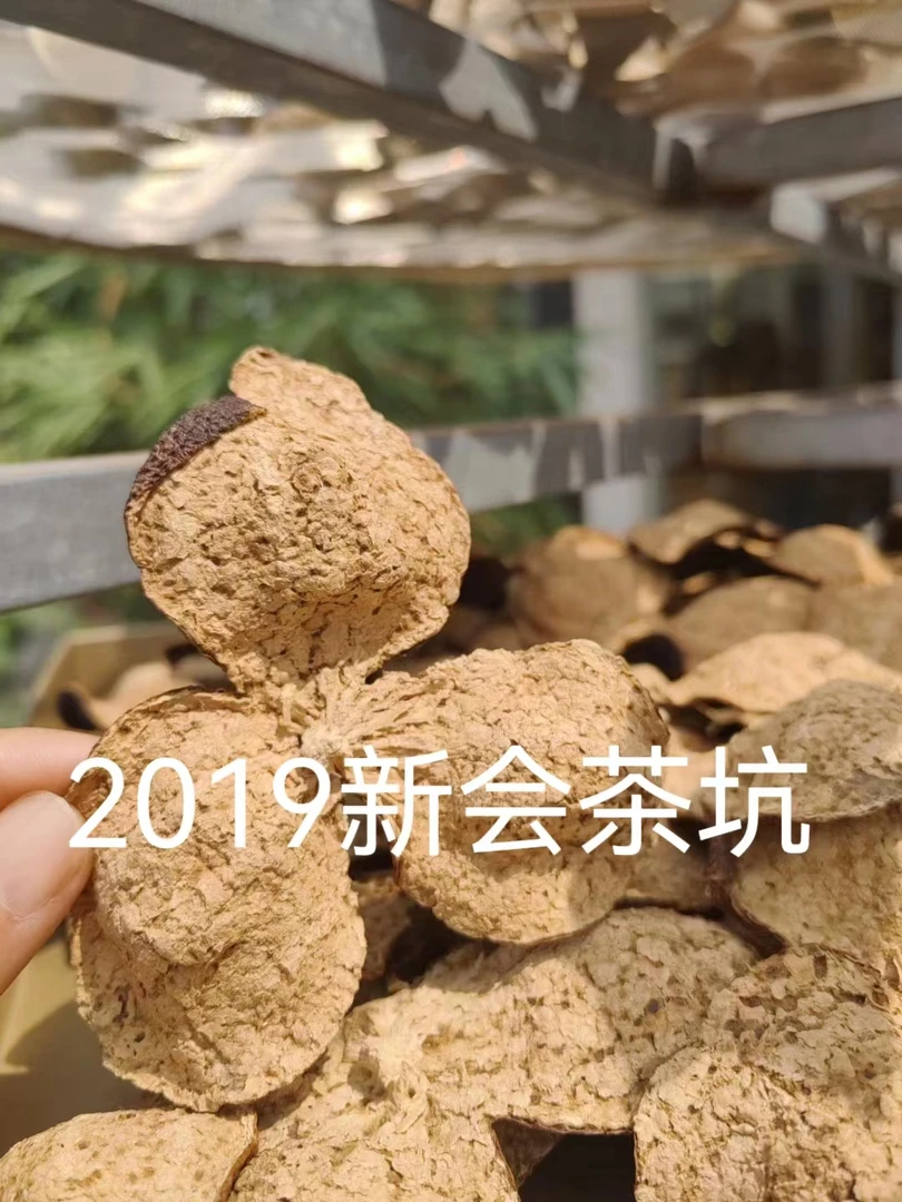 新会陈皮 产地 茶坑  2019年