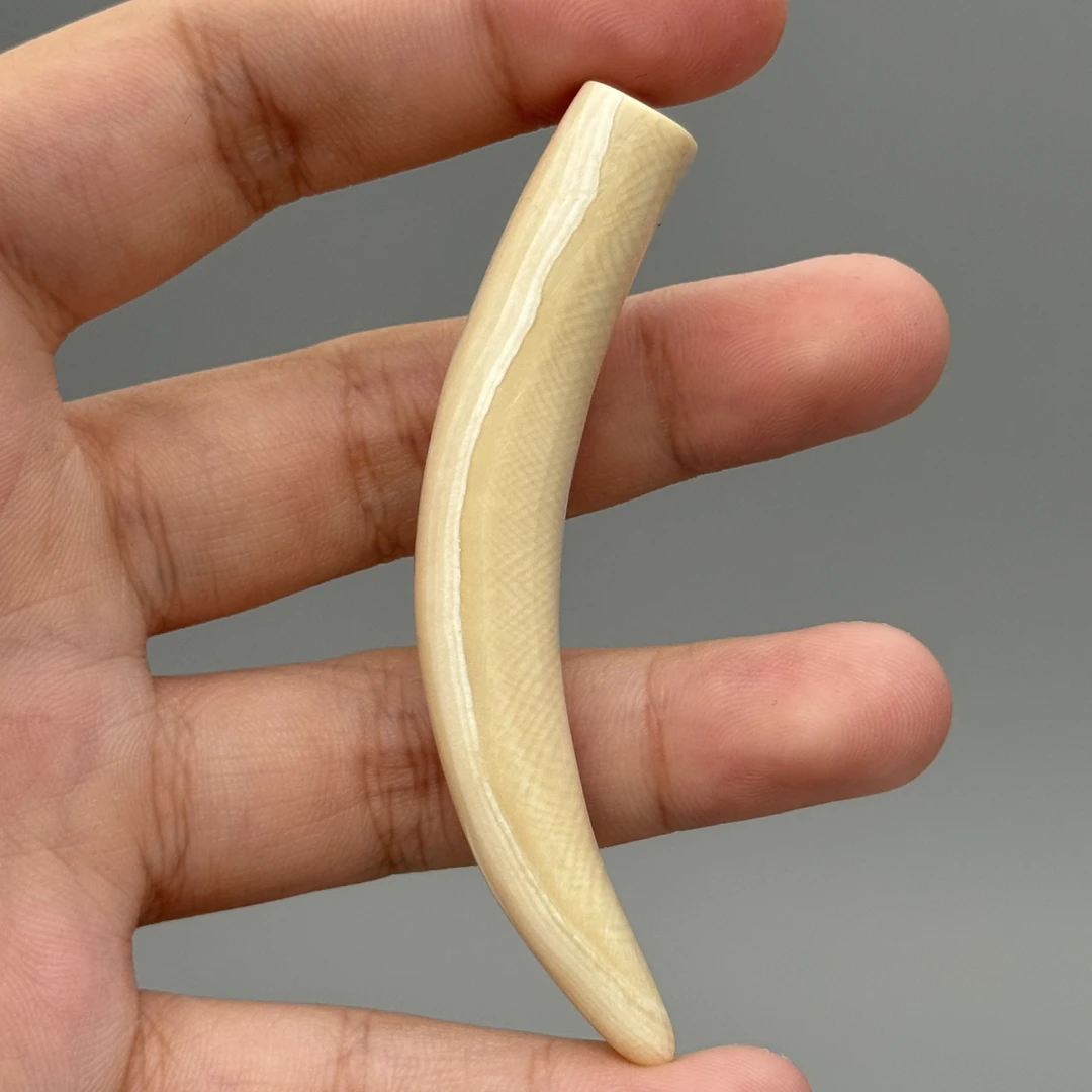 DEZHI/德志9.5g小牙尖吊坠天然猛犸牙默认打孔绑绳F552