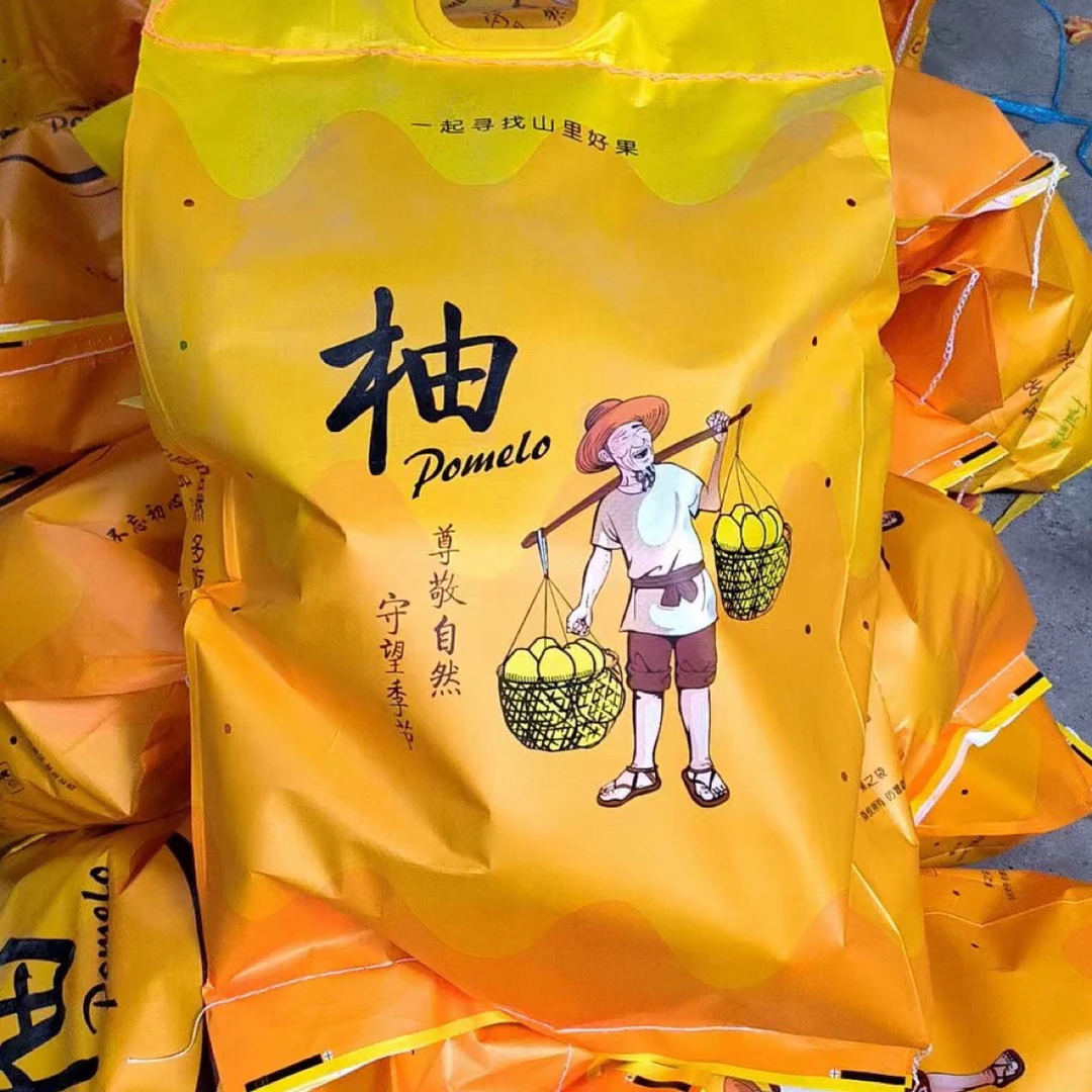 湖南怀化安江雪峰冰糖柚土柚苦柚麻麻柚新鲜水果20斤