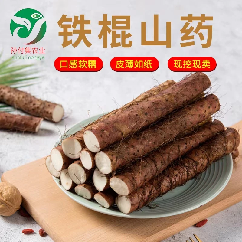 正宗焦作温县铁棍山药小白嘴山药垆土铁棍山药怀山药产地河南蔬菜