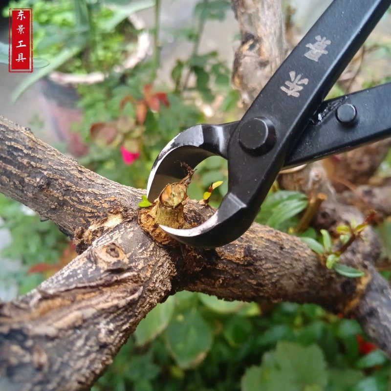 主播推荐很划算老式手工锻打球节钳斜口钳叶芽剪盆景造型修剪工具