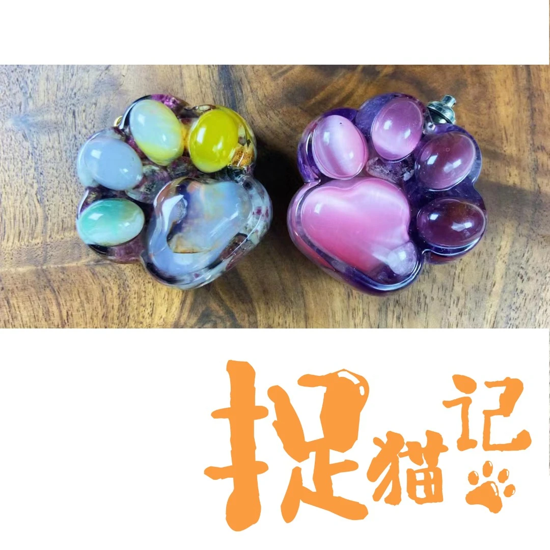 捉猫记™定制专拍