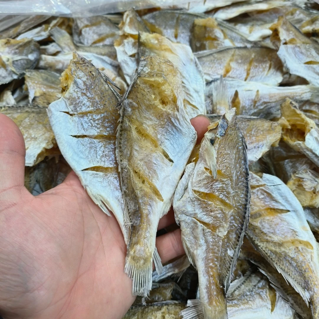 《小邱推荐》福建  划条白梅鱼干  500g