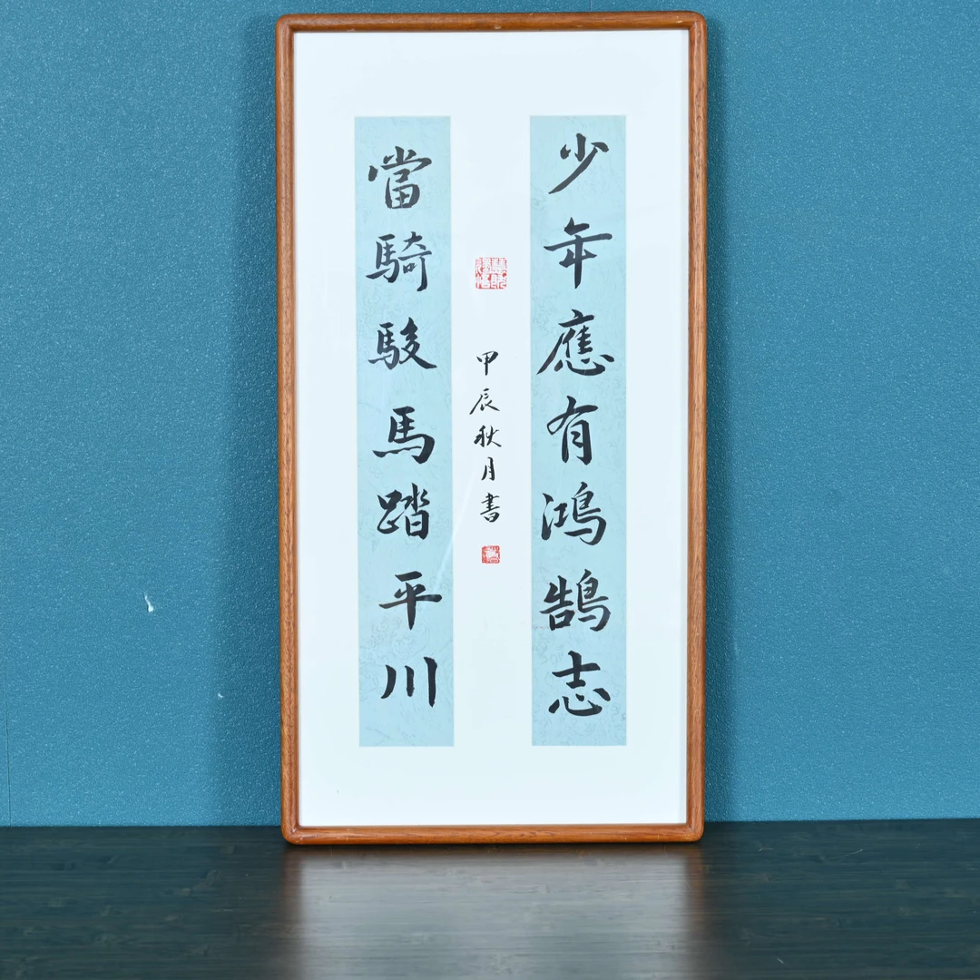 R-书法作品，少年应有鸿鹄志，尺寸36*69