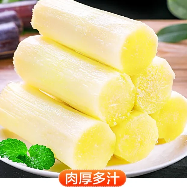 鲜之初【现砍现发】帝乡黑美人皮甘蔗5~9斤天然优质清甜爽口皮薄