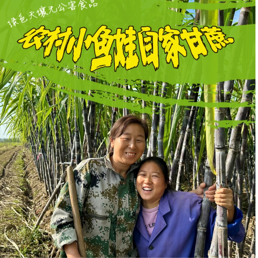 鲜之初【现砍现发】帝乡黑皮甘蔗5~9斤天然优质清甜爽口皮薄新产品