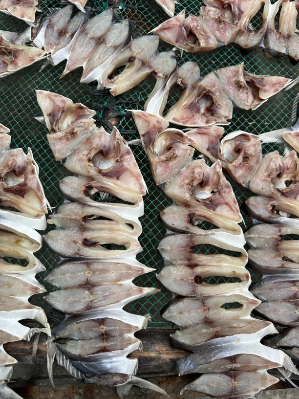 金鲳鱼2-3斤无添加鱼淡晒咸鱼海鲜可蒸可炸鲜嫩美味