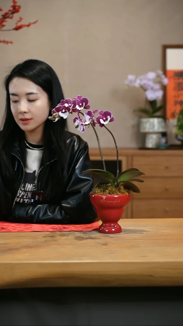 【闪购商品】圣诞老人