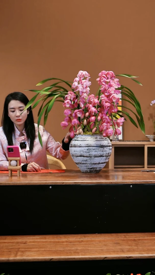【闪购商品】粉色拱兰 白