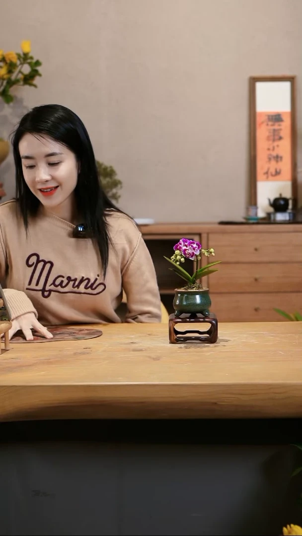 【闪购商品】小蝴蝶兰