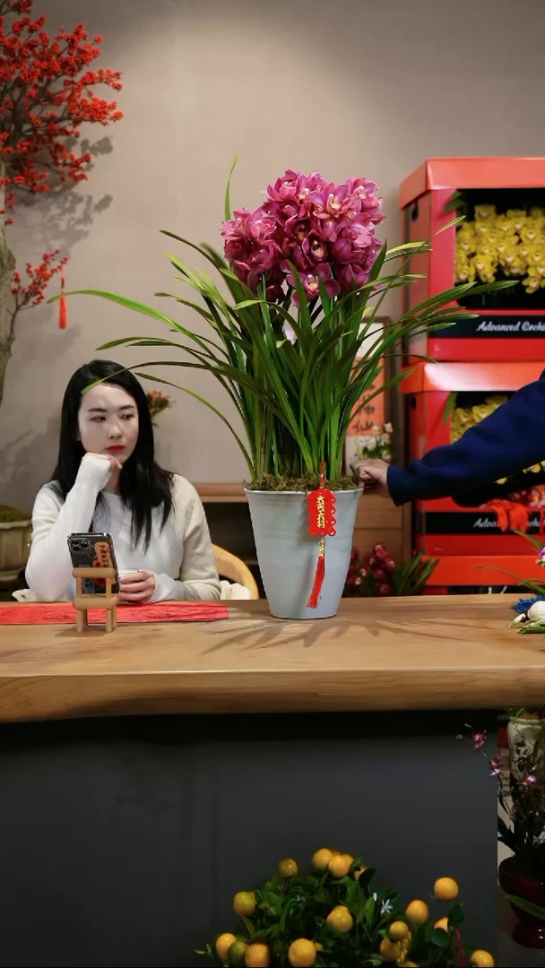 【闪购商品】热恋 圆陶