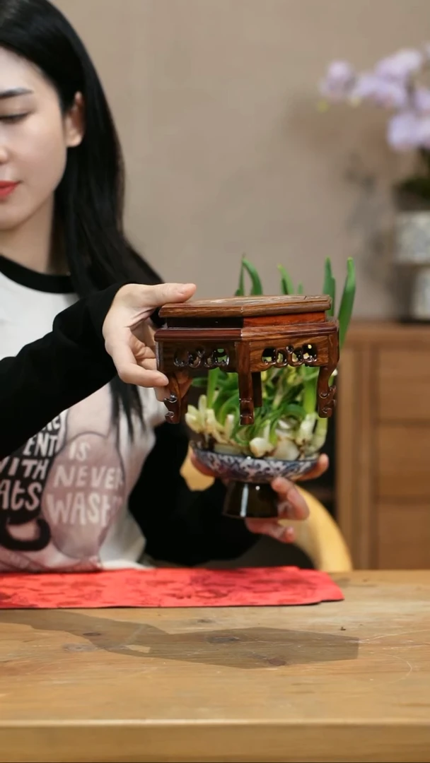 【闪购商品】小花架