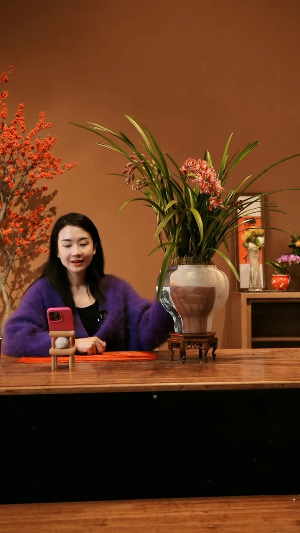 【闪购商品】红双喜