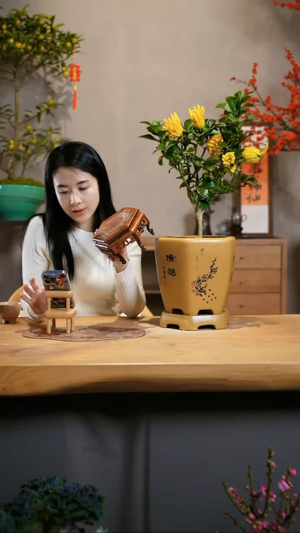 【闪购商品】小花架 花梨木