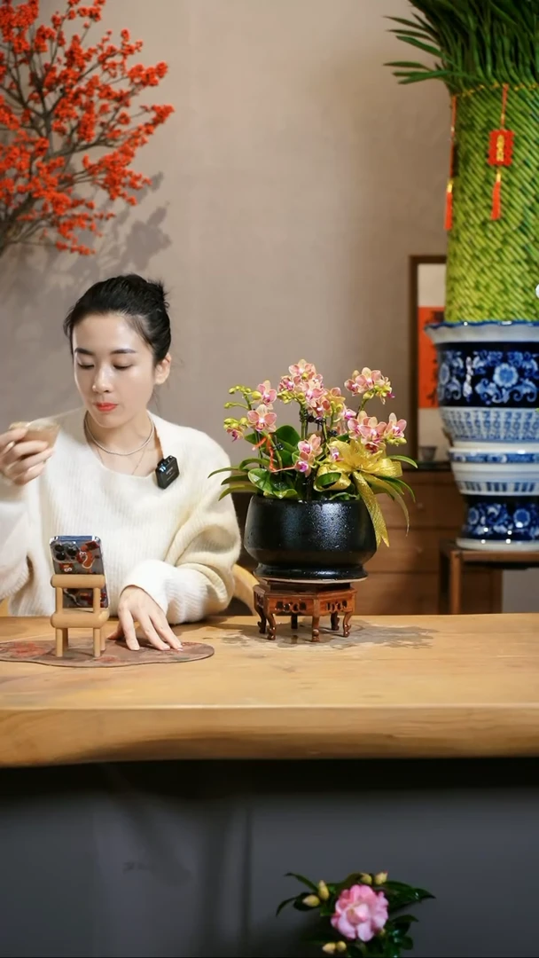 【闪购商品】金夫人