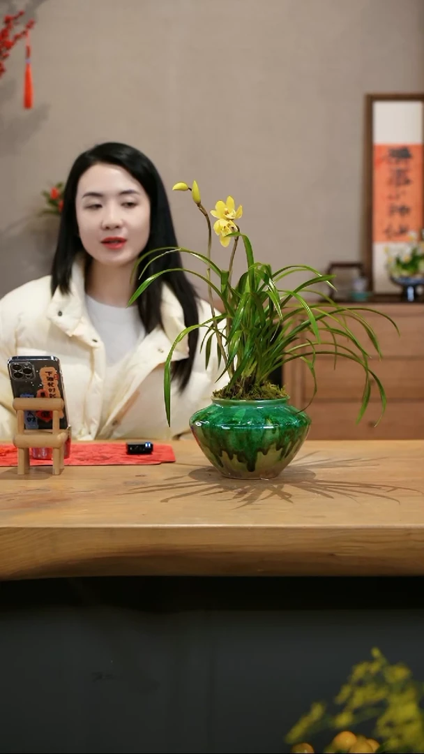 【闪购商品】月光1