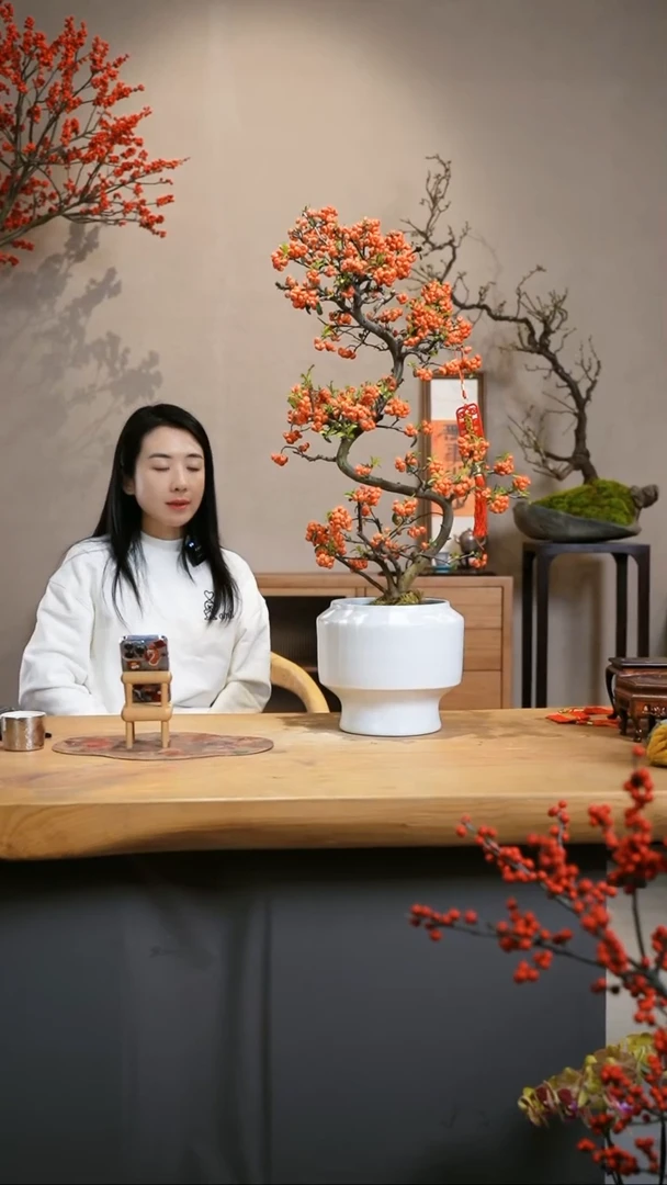 【闪购商品】火棘 白盆