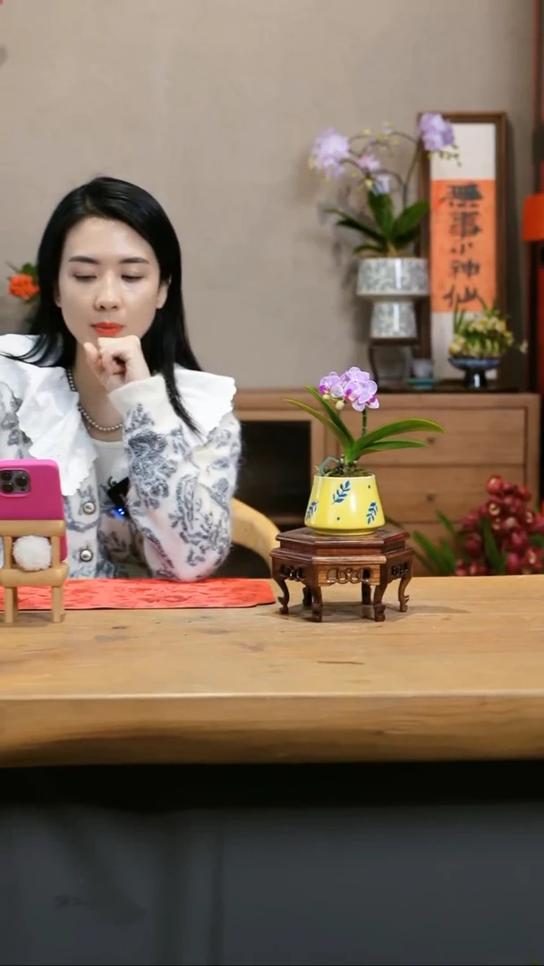【闪购商品】小美人 黄
