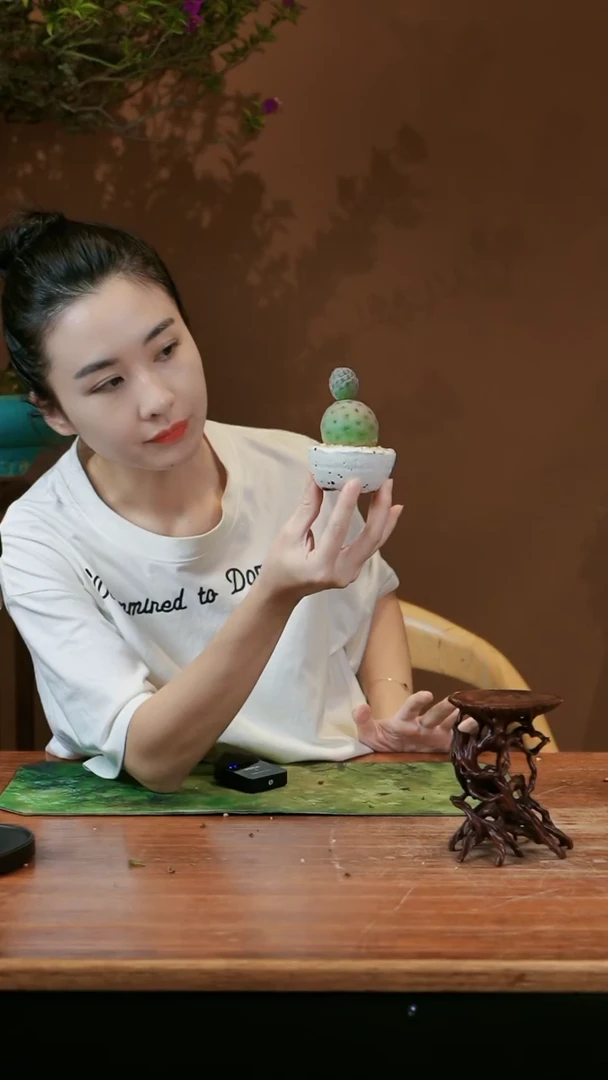 【闪购商品】盆景小雪人