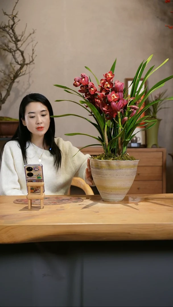 【闪购商品】小红袍