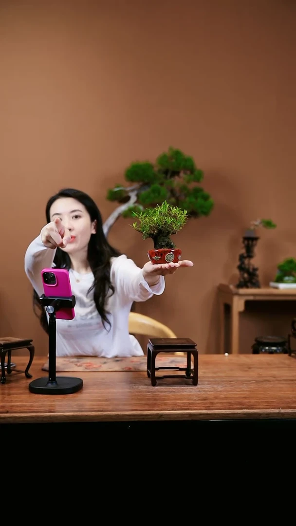 【闪购商品】栀子花