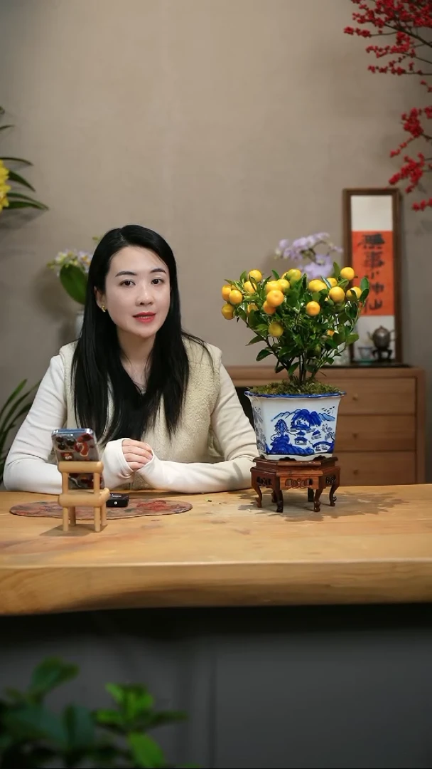 【闪购商品】小金桔 六角