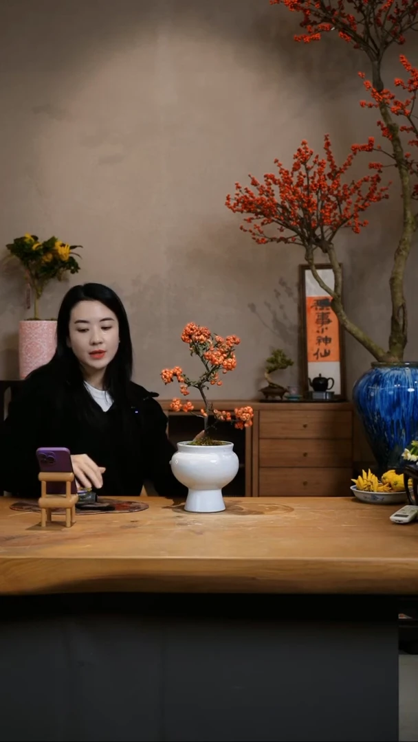 【闪购商品】小火棘