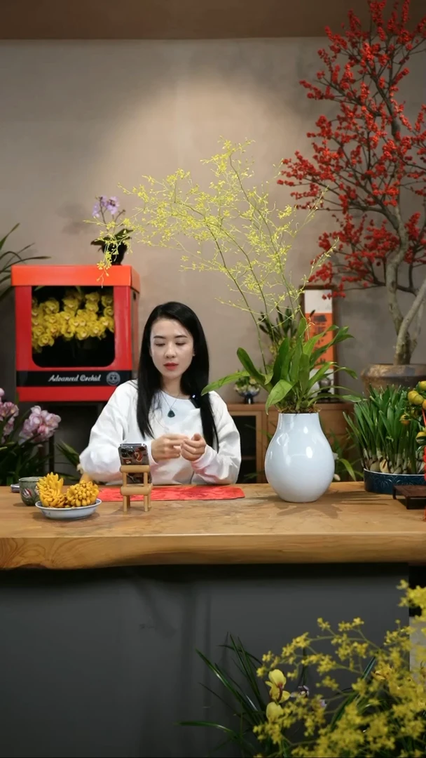 【闪购商品】满天星 白