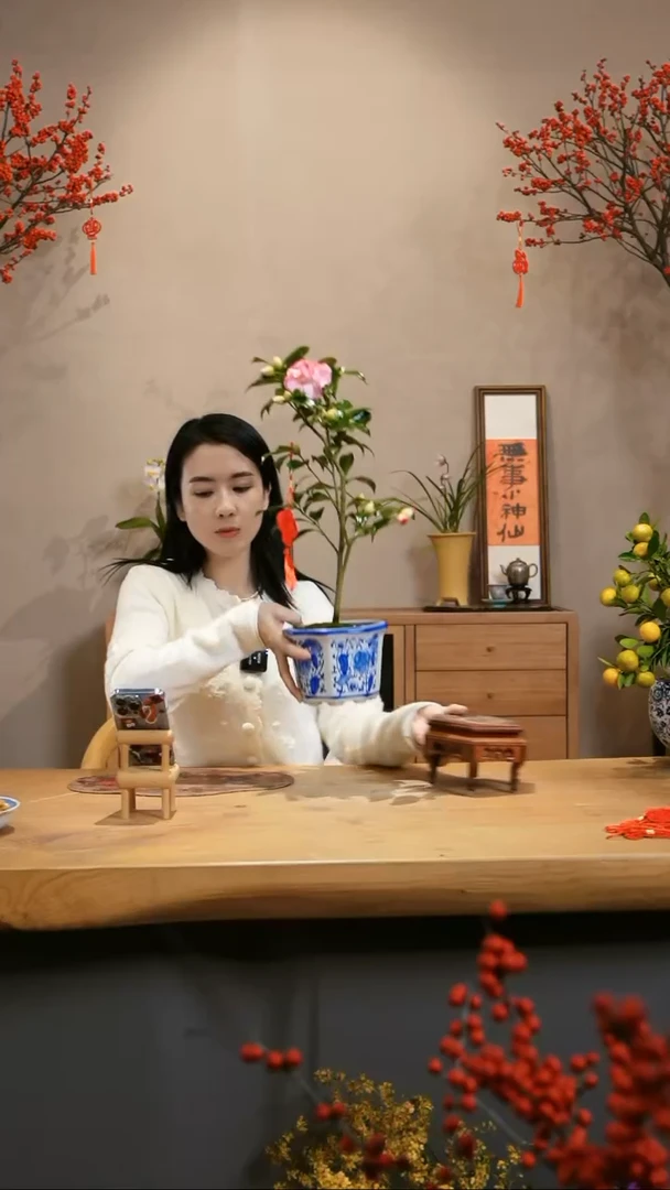 【闪购商品】彩色纽扣茶花