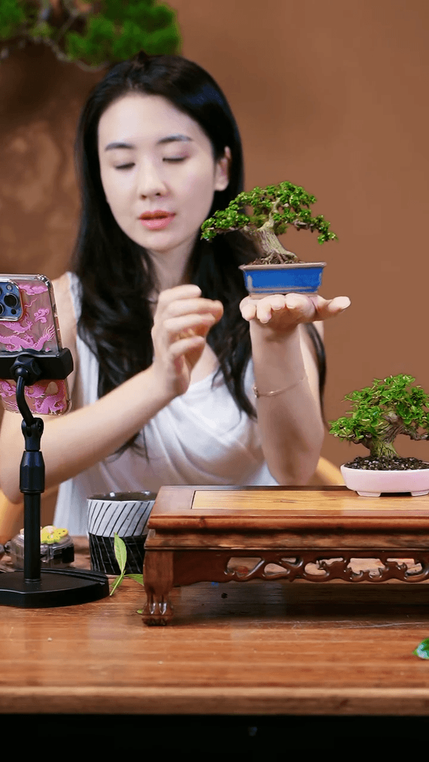 【闪购商品】寿娘子