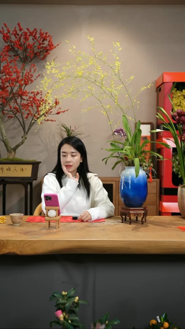 【闪购商品】满天星 蓝白