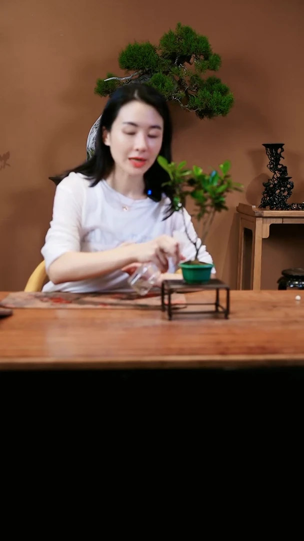 【闪购商品】栀子花