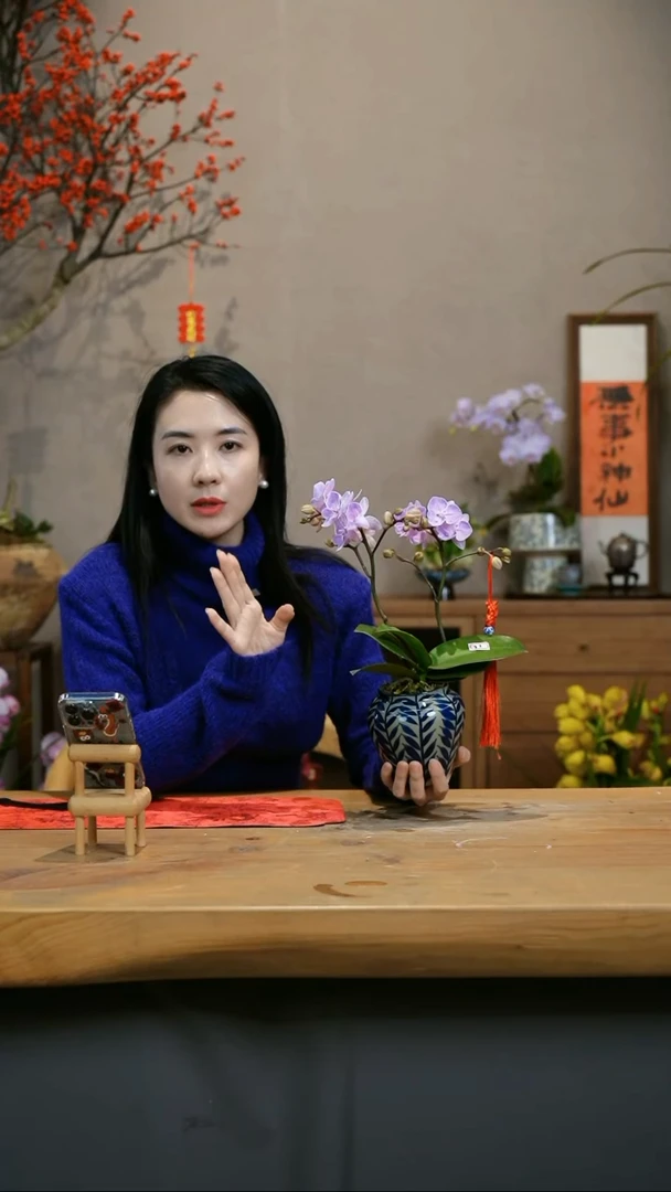 【闪购商品】小樱桃 叶