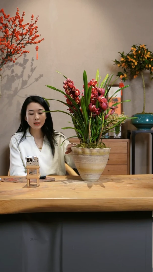 【闪购商品】小红袍