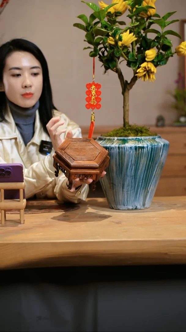 【闪购商品】六角花架