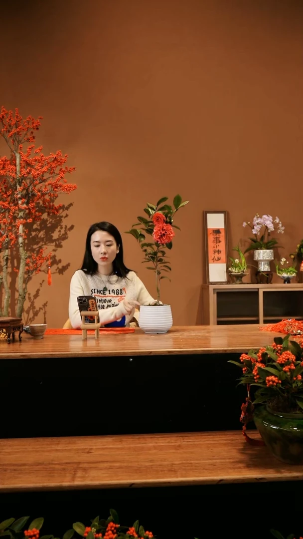 【闪购商品】花贝拉
