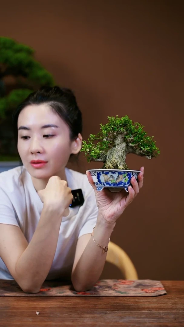 【闪购商品】寿娘子
