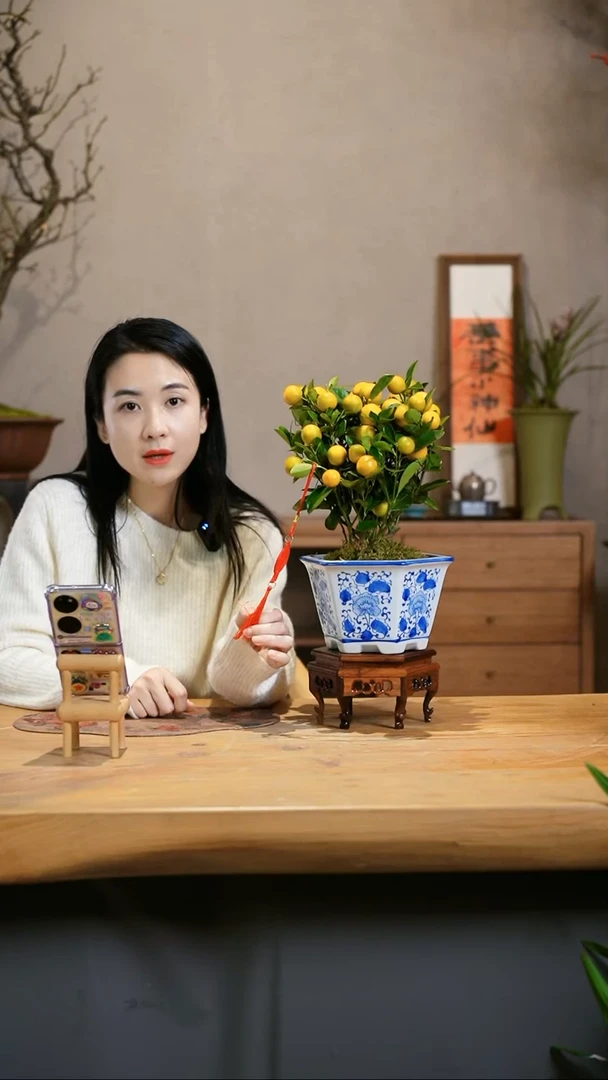 【闪购商品】小金桔
