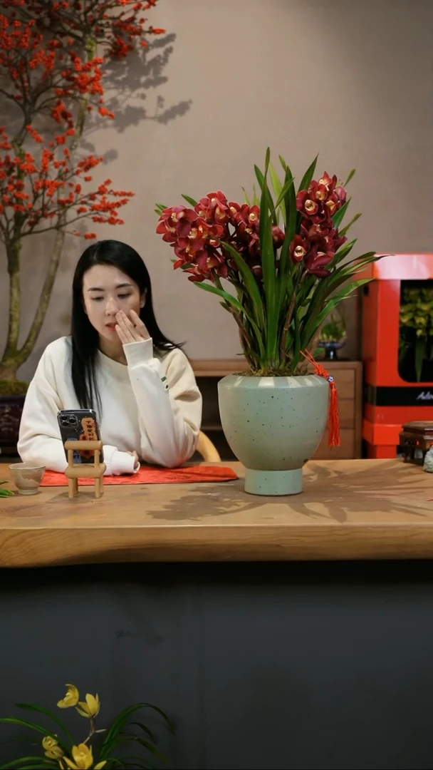 【闪购商品】小红袍 陶