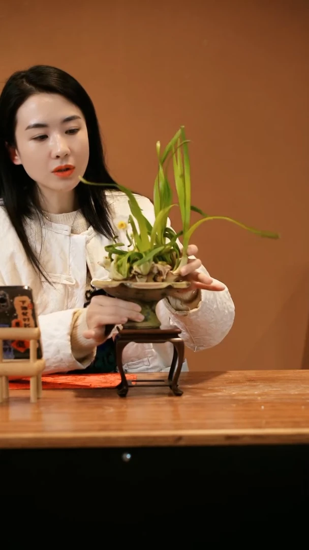 【闪购商品】凌波仙子 绿陶