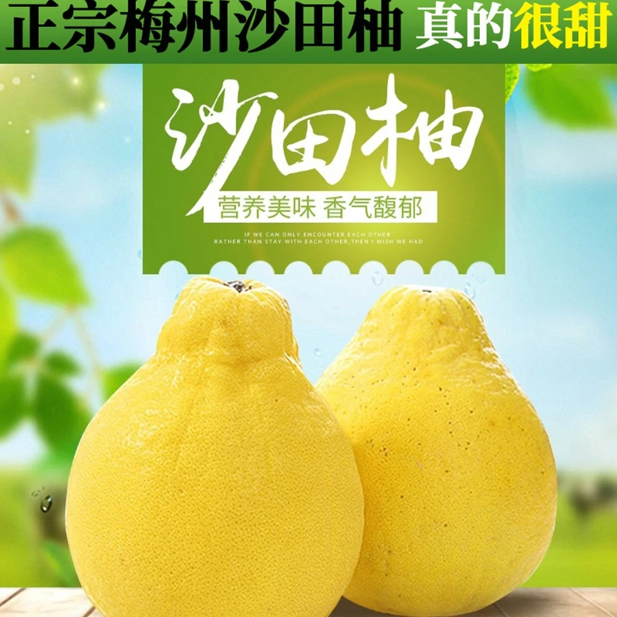 【京东到家 坏果包赔】正宗梅州沙田柚金柚白心肉孕妇新鲜水果