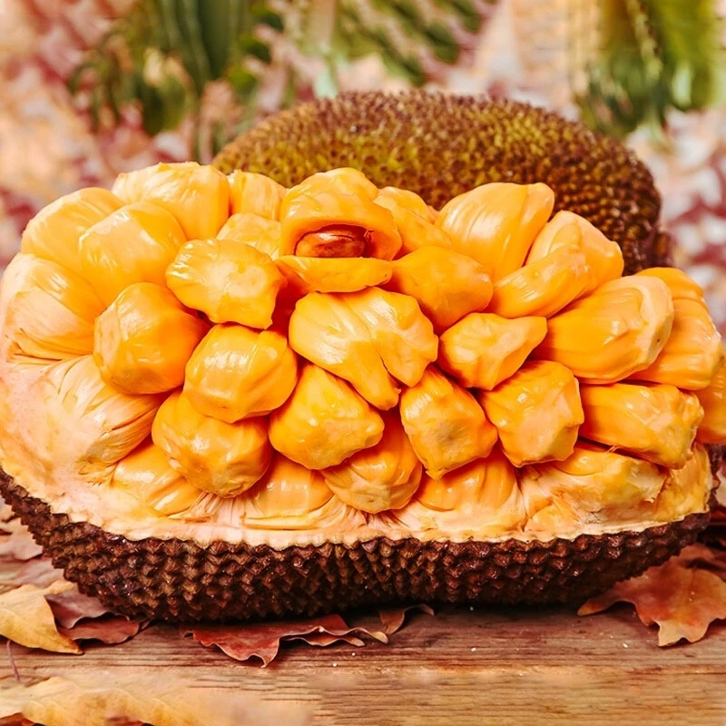 【京东生鲜专线】越南红肉菠萝蜜当季特产新鲜水果整果发货