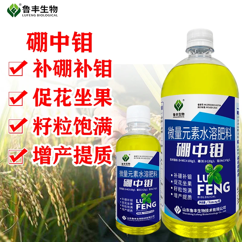 鲁丰 硼中钼 叶面肥