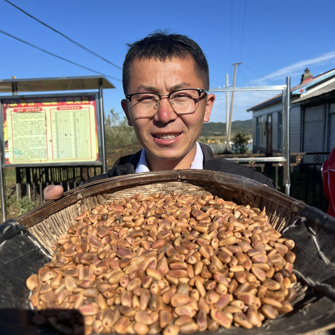 东北深山红松松子2斤装