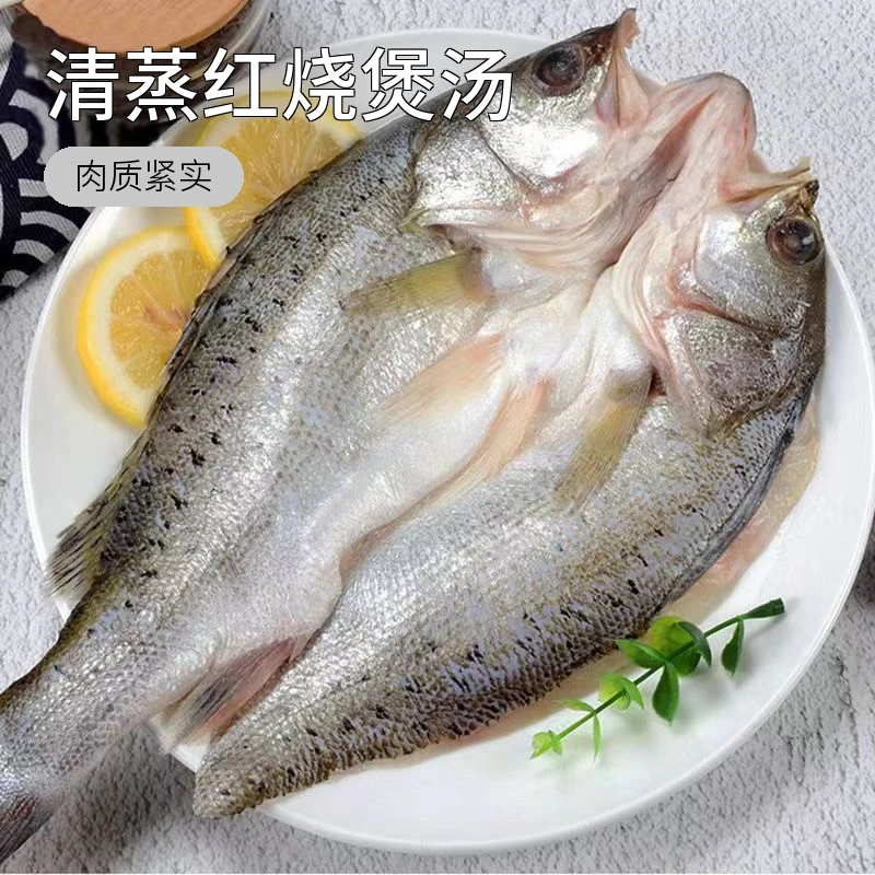 深海海鲈鱼新鲜冷冻出海开背海鲈鱼500-600g鲜嫩去鳞鲜美免处理